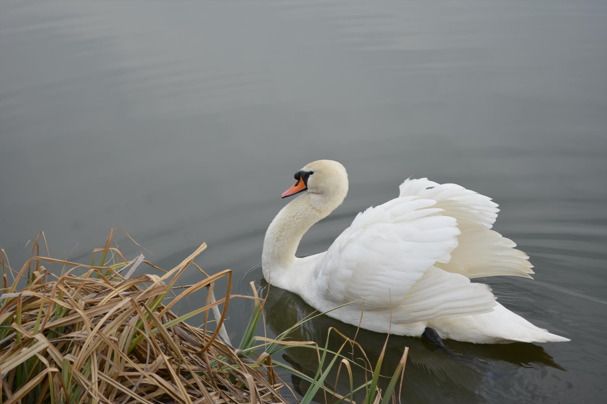 Pescuit :) - dsc0051.JPG